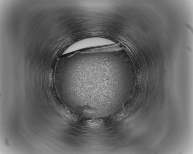 X0000096440373200802071754