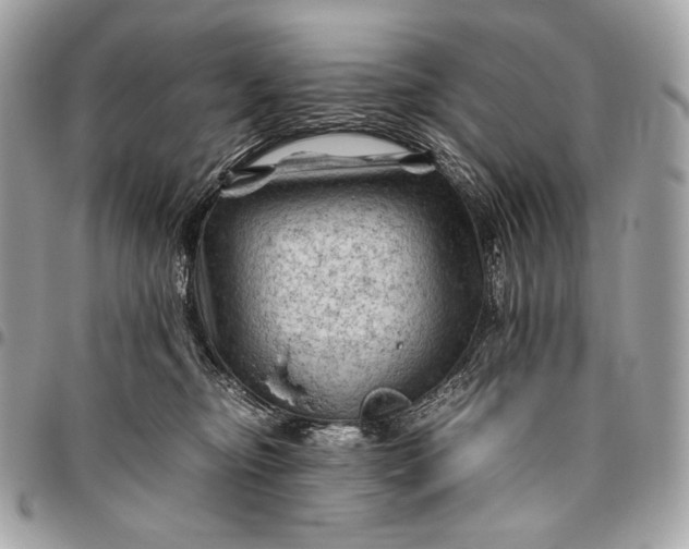 X0000096440374200802071754