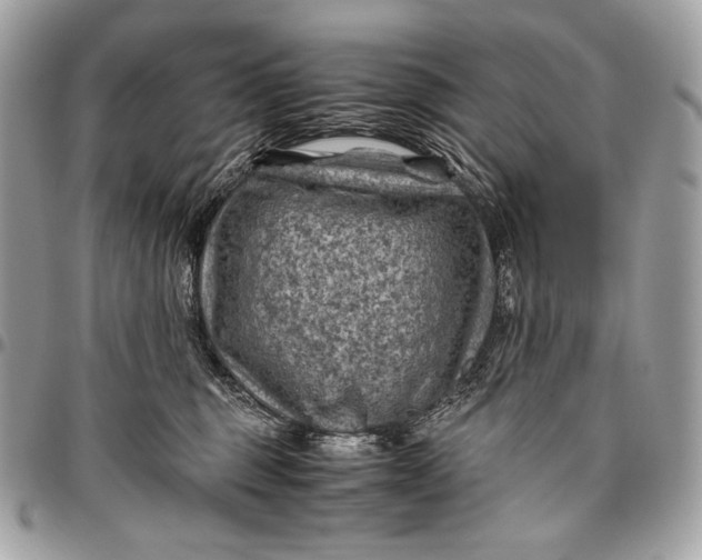 X0000096440375200802071754