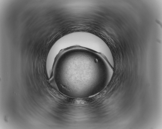 X0000096440376200802071754