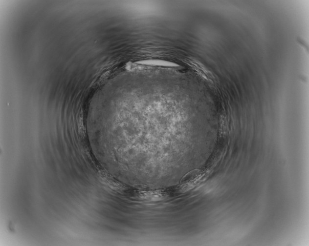 X0000096440377200802071754