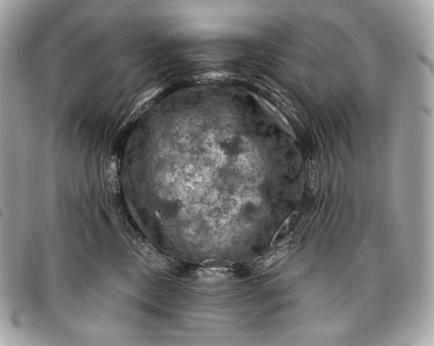 X0000096440378200802071754