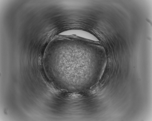 X0000096440379200802071754