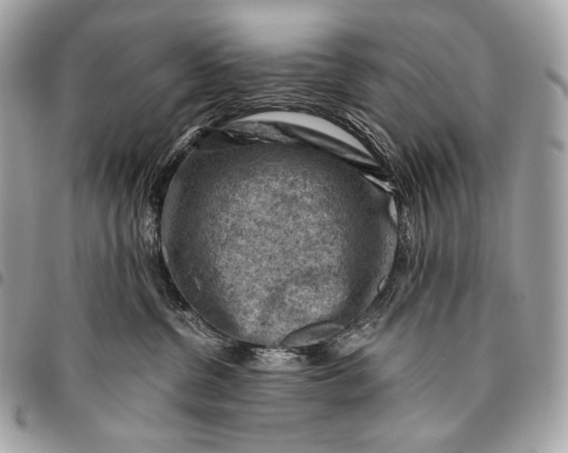 X0000096440380200802071754