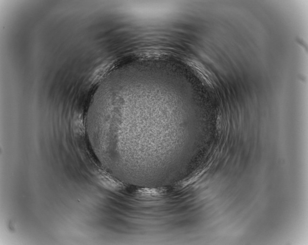 X0000096440381200802071754