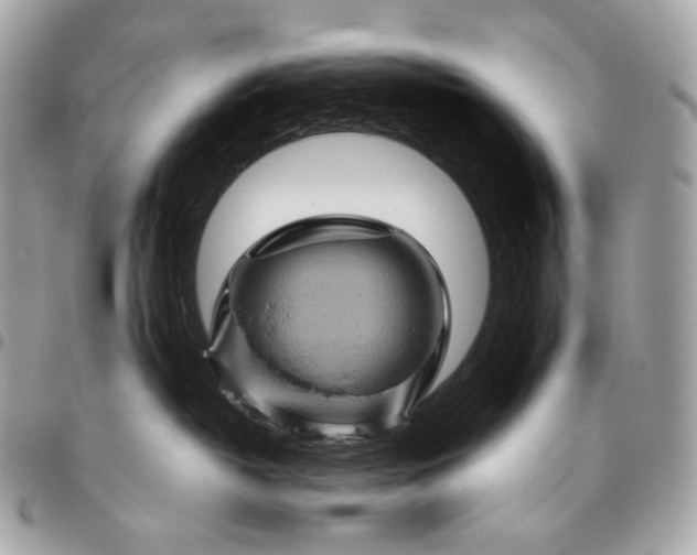 X0000096440382200802071754