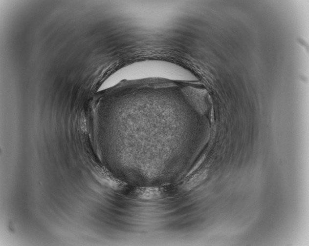 X0000096440384200802071754