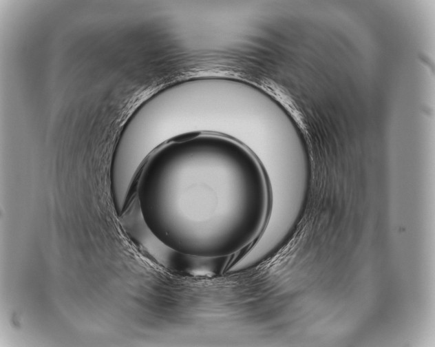 X0000096440385200802071753