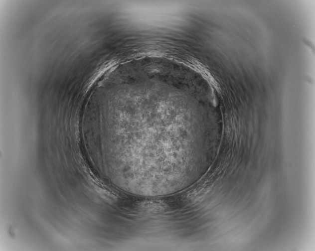 X0000096440386200802071753