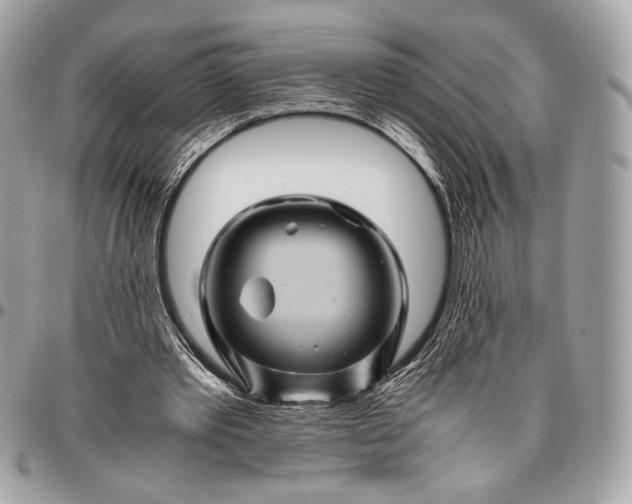 X0000096440389200802071753