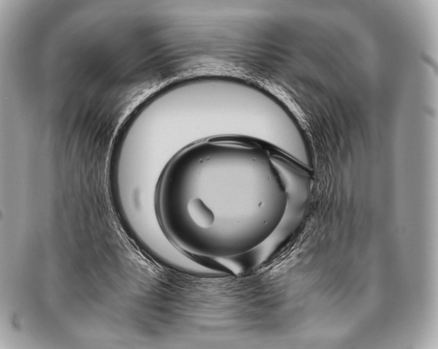 X0000096440391200802071753