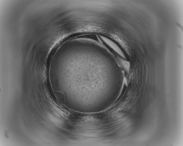 X0000096440392200802071753