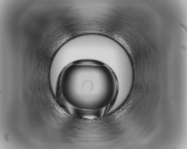 X0000096440393200802071753