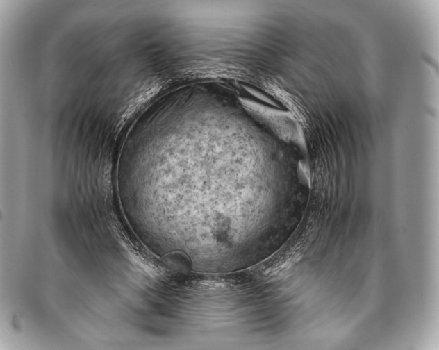 X0000096440394200802071753