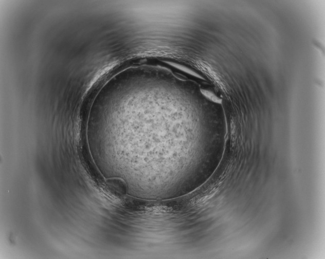 X0000096440396200802071753