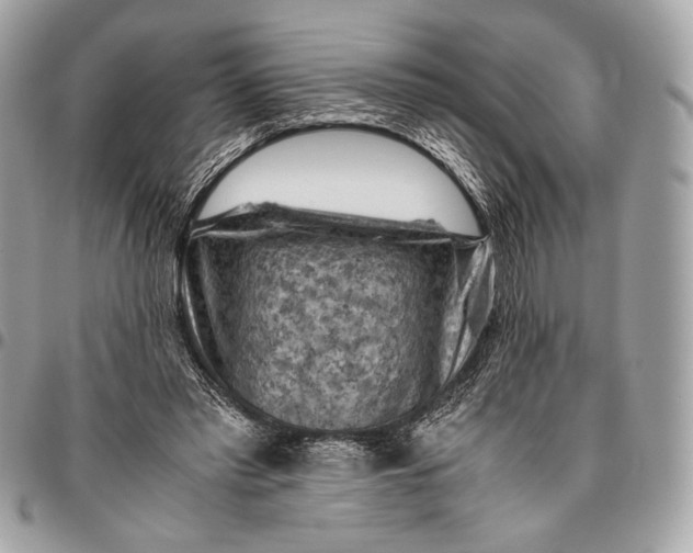 X0000096440397200802071753