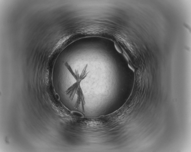 X0000096440400200802071753