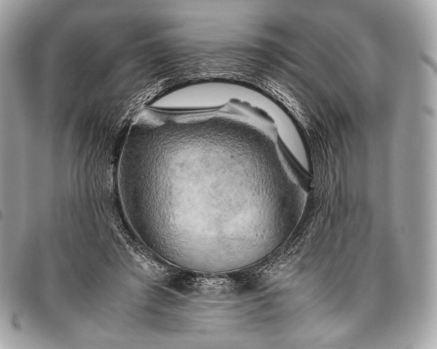 X0000096440401200802071753