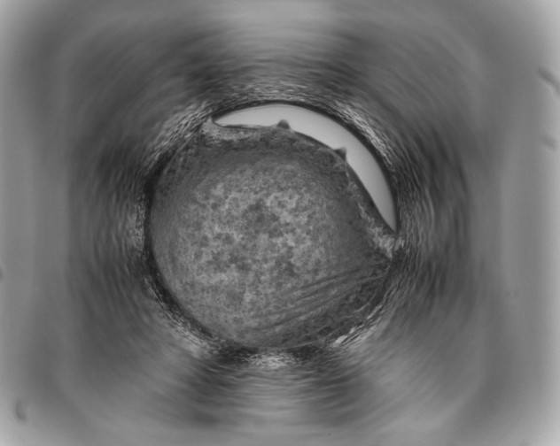 X0000096440402200802071753