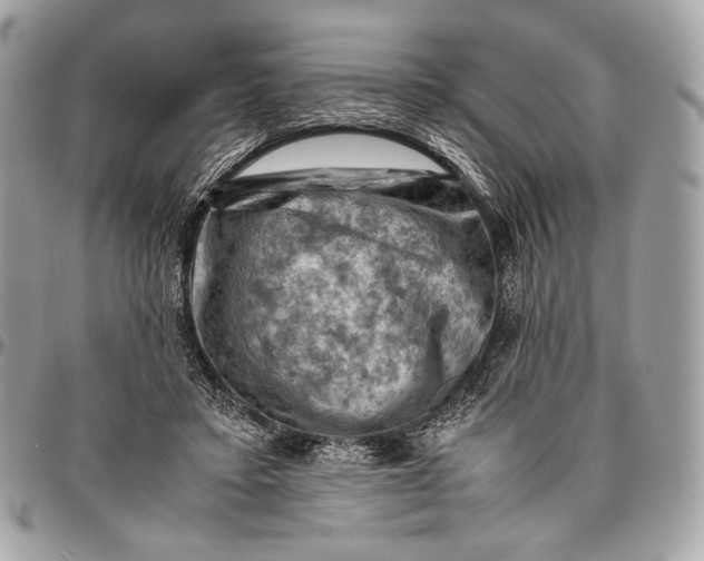 X0000096440403200802071753