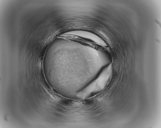 X0000096440405200802071753