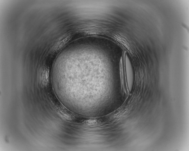 X0000096440406200802071753