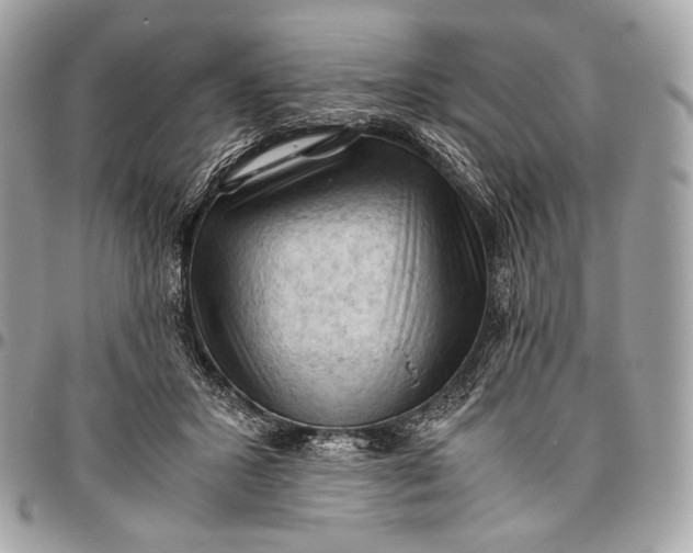 X0000096440407200802071753