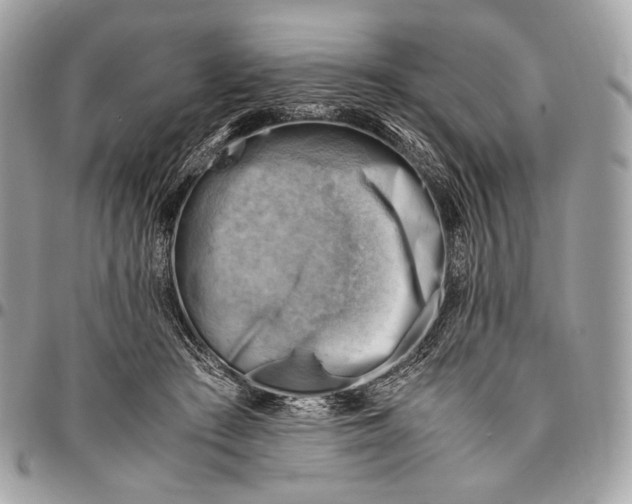 X0000096440409200802071753