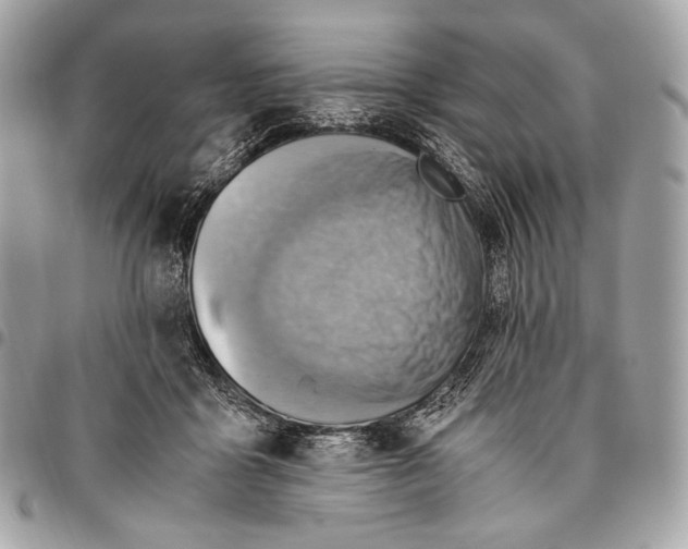 X0000096440411200802071753