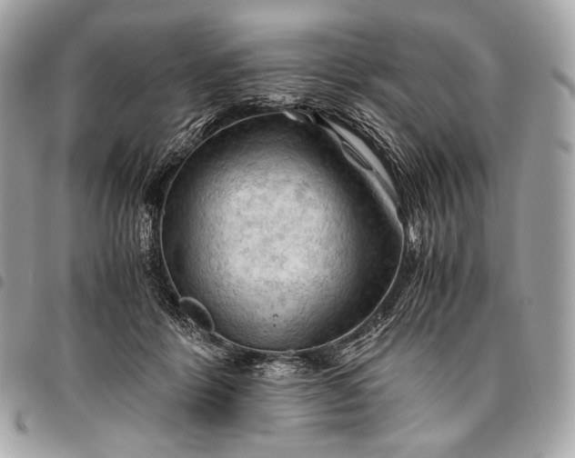 X0000096440412200802071753