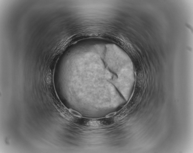 X0000096440413200802071753