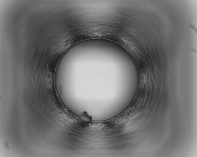 X0000096440414200802071753