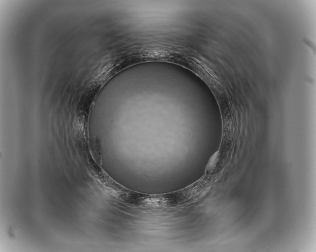 X0000096440415200802071753