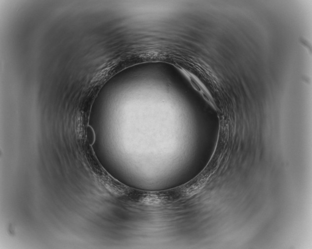 X0000096440416200802071753