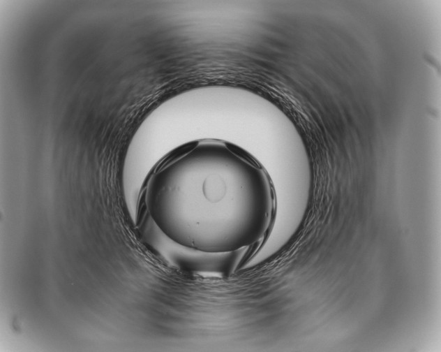 X0000096440417200802071752