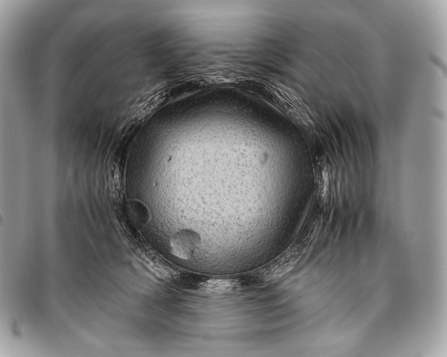 X0000096440418200802071752