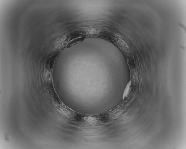 X0000096440419200802071752