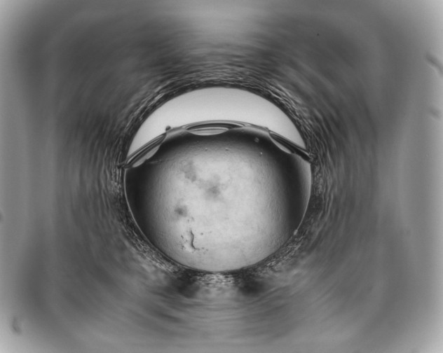 X0000096440421200802071752