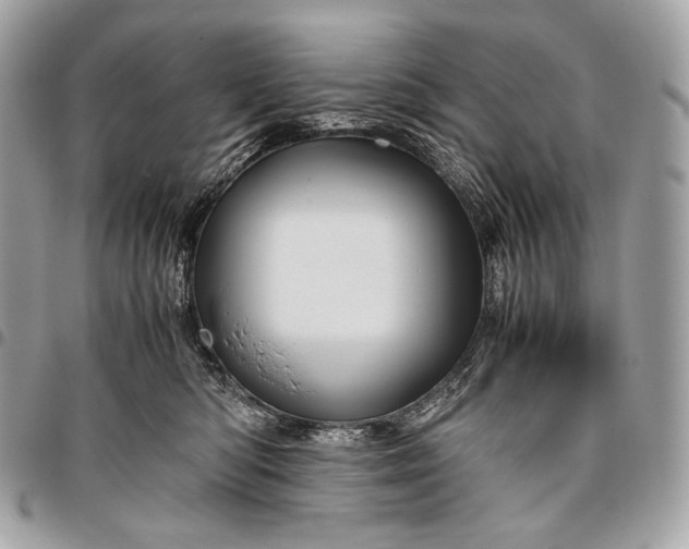 X0000096440422200802071752