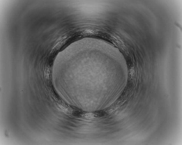 X0000096440423200802071752