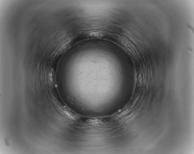 X0000096440424200802071752