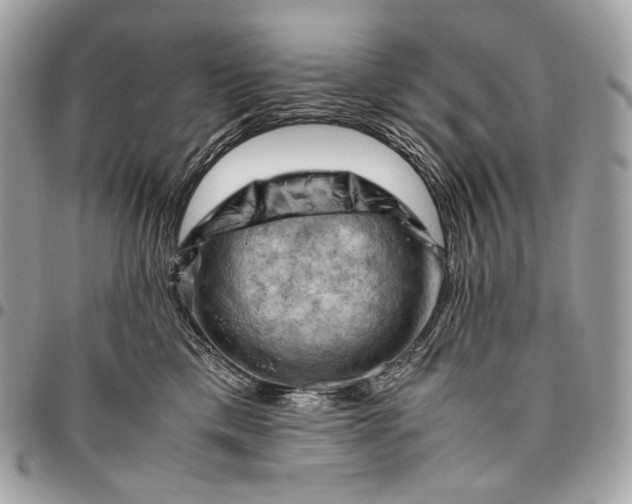 X0000096440425200802071752