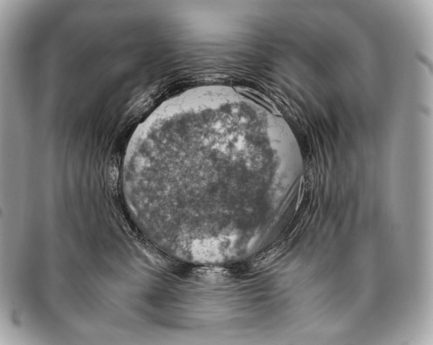 X0000096440427200802071752