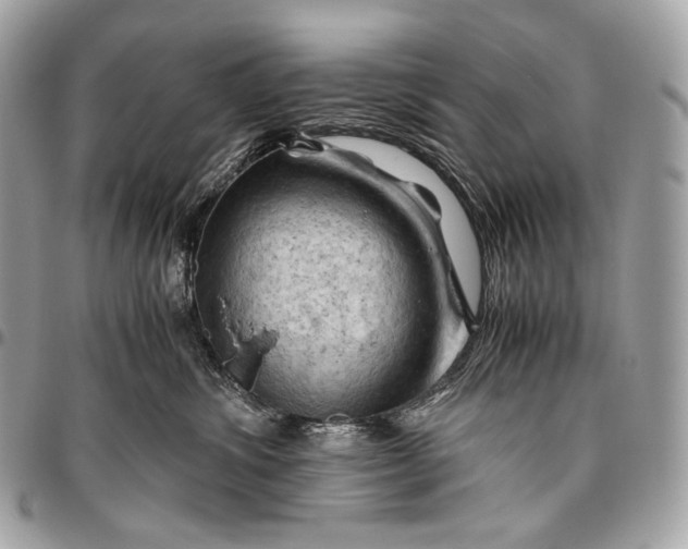 X0000096440428200802071752