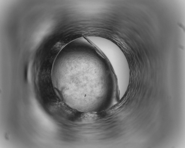 X0000096440429200802071752