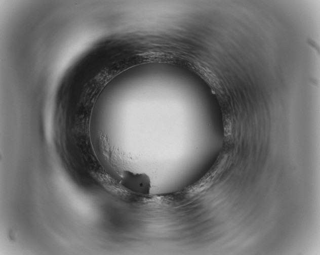 X0000096440430200802071752