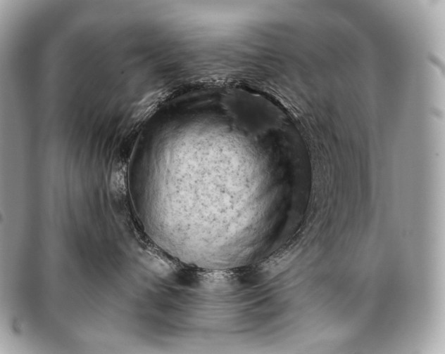 X0000096440432200802071752