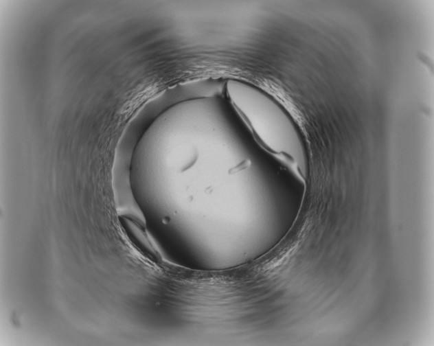 X0000096440433200802071752