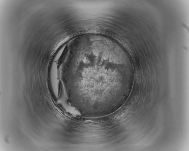 X0000096440434200802071752