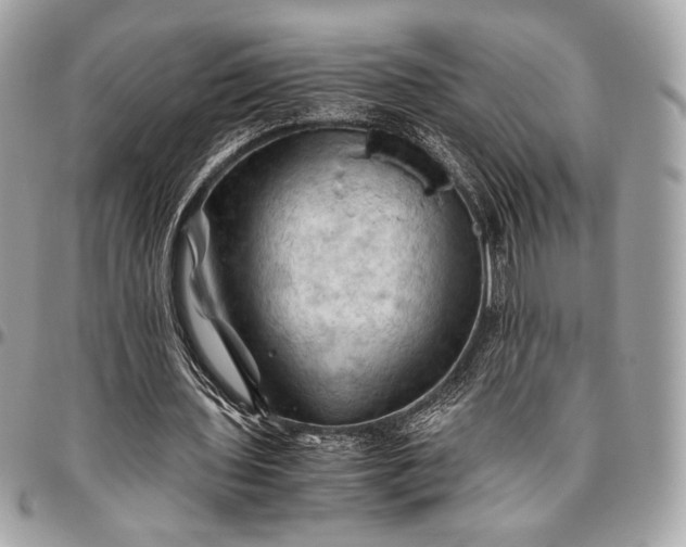 X0000096440435200802071752